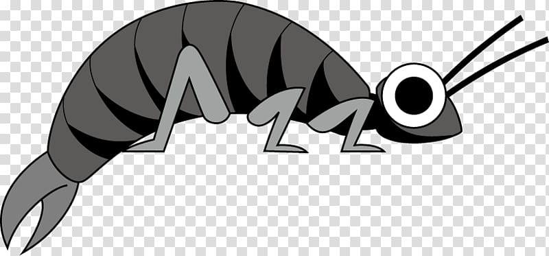 Mammal Logo Car Product design Black, earwigs insect transparent background PNG clipart