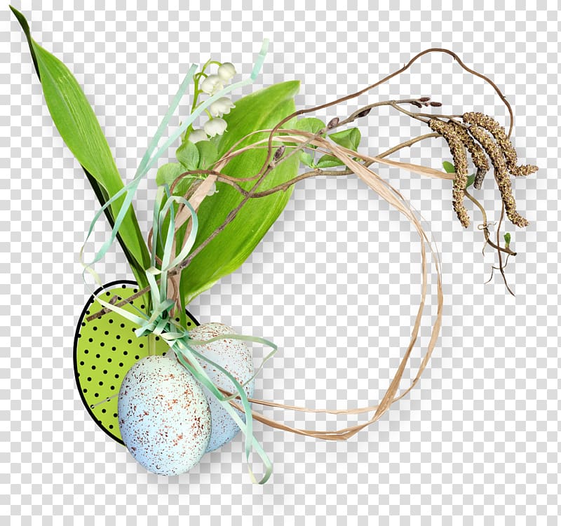 Circle Centerblog , Eggs leaf litter ring transparent background PNG clipart