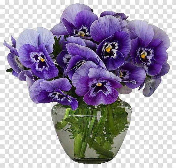Flower Violet Vase Pansy Purple, violet transparent background PNG clipart