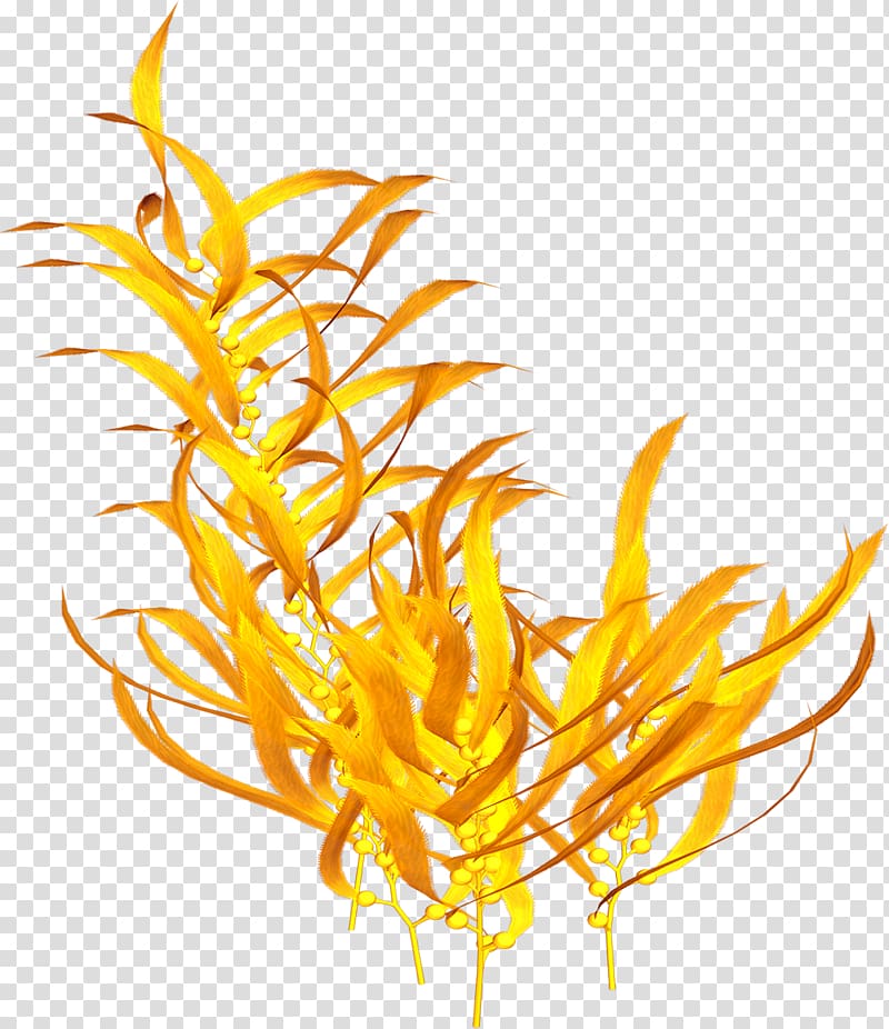 yellow leaf illustration, Plant Underwater Sea , waterlily transparent background PNG clipart
