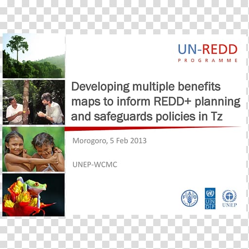 Reducing emissions from deforestation and forest degradation United Nations REDD Programme, forest transparent background PNG clipart