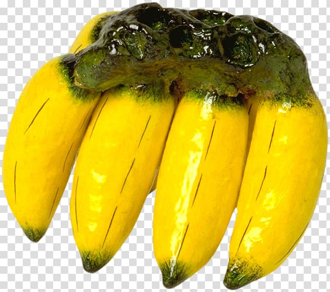 Banana Vegetarian cuisine Vegetable Food La Quinta Inns & Suites, banana transparent background PNG clipart