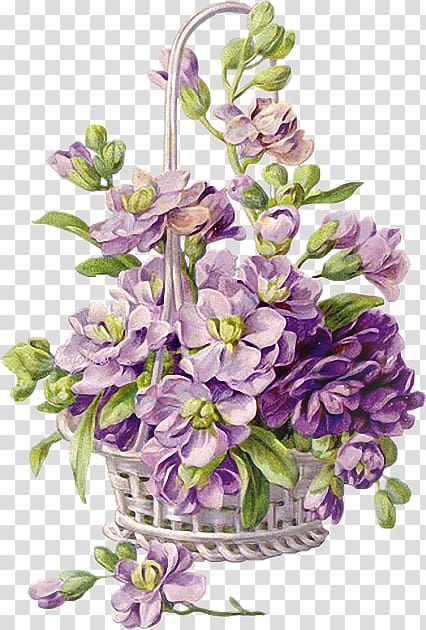 Basket Flower Violet Floral design, flower transparent background PNG clipart