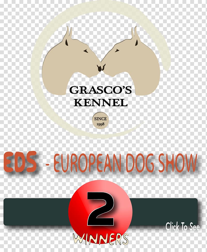 Miniature Bull Terrier World Dog Show Conformation show European Dog Show, norfolk terrier transparent background PNG clipart