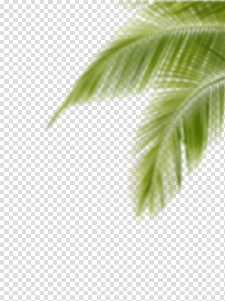 Portable Network Graphics Editing Desktop PicsArt Studio, cb edit background transparent background PNG clipart