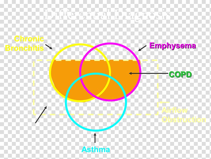 Chronic Obstructive Pulmonary Disease Bronchitis Sputum Pulmonary function testing Lung, others transparent background PNG clipart