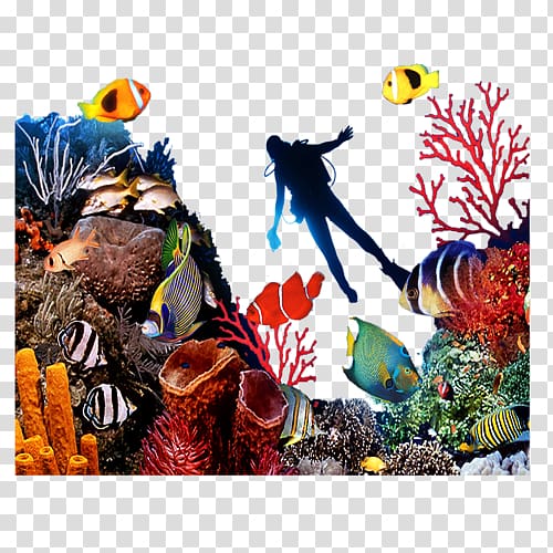 Coral reef fish Seabed, sea transparent background PNG clipart | HiClipart