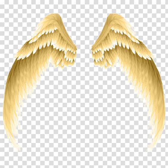 white wings illustration, , Golden wings transparent background PNG clipart