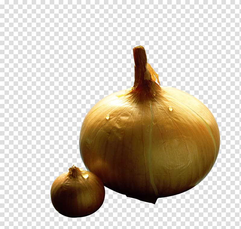 Yellow onion Shallot Vegetable, Vegetables onion transparent background PNG clipart