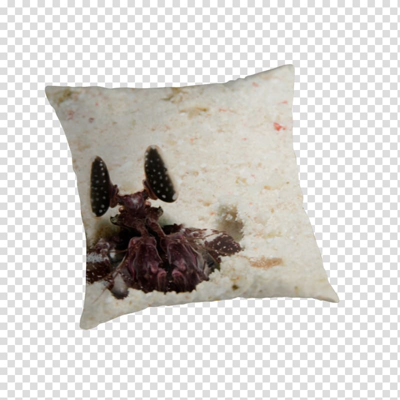 Throw Pillows Cushion, Mantis Shrimp transparent background PNG clipart