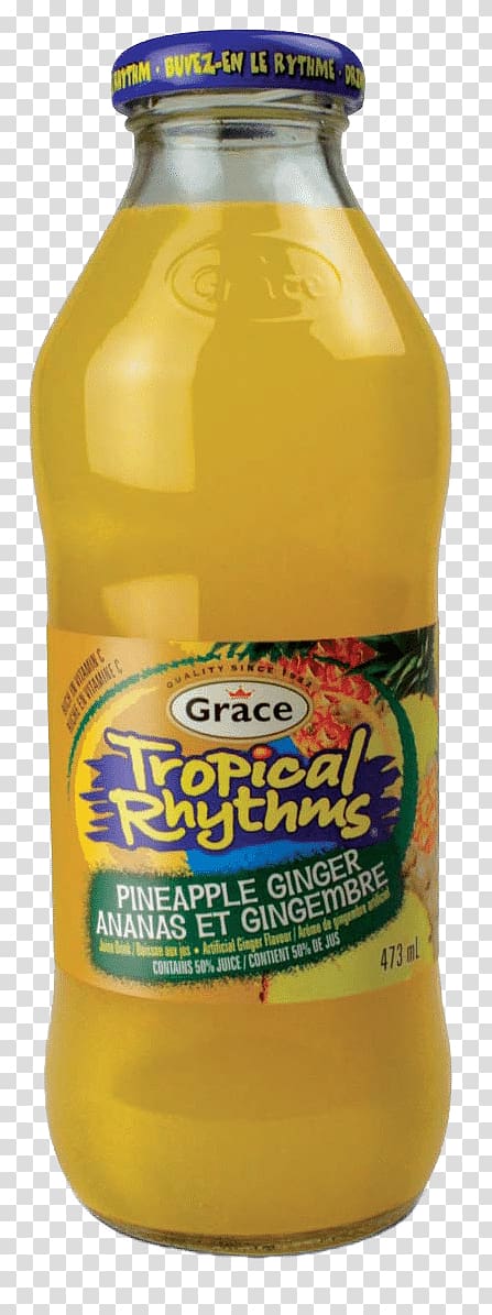 Orange drink Grace Foods Grace Tropical Rhythms Island Mango Juice Drink From Concentrate Flavor by Bob Holmes, Jonathan Yen (narrator) (9781515966647), grace coconut water transparent background PNG clipart