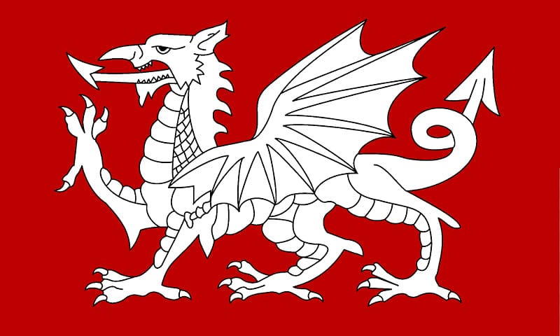 Flag of England White dragon Flag of Wales English people, White Dragon transparent background PNG clipart