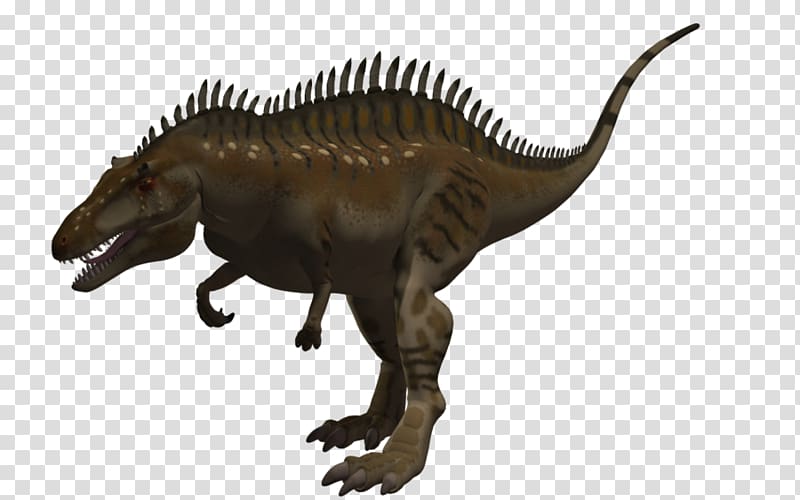 Tyrannosaurus Acrocanthosaurus Sauroposeidon Spinosaurus Allosaurus, dinosaur transparent background PNG clipart