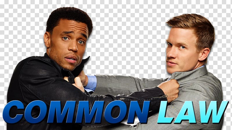 Michael Ealy Common Law Warren Kole United States Television show, zimmer transparent background PNG clipart