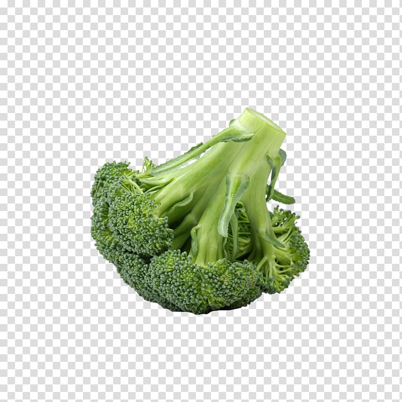 Broccoli Vegetable Food Cauliflower, Fresh broccoli transparent background PNG clipart