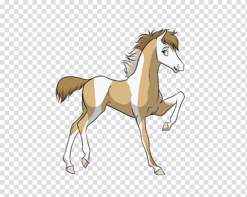 Mane Mustang Foal Colt Stallion, desert dream transparent background PNG clipart