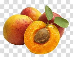 Apricot transparent background PNG clipart