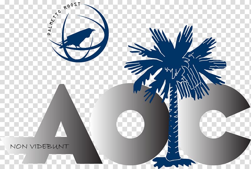 Sabal Palm Flag of South Carolina Arecaceae Palmetto Properties of Mb Business, sabal palm transparent background PNG clipart