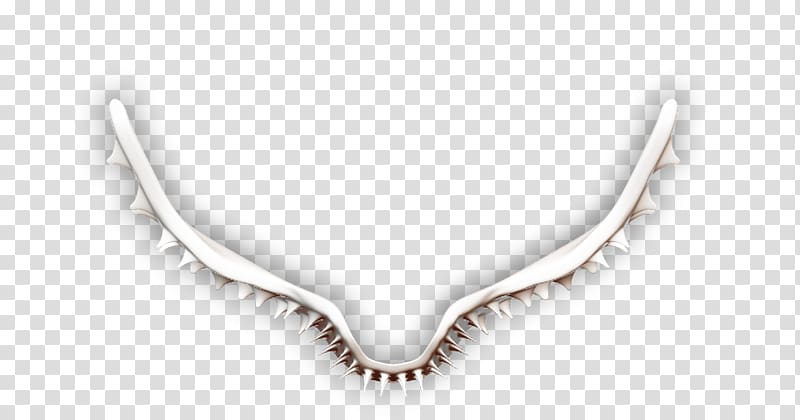 Necklace Jewellery Silver Chain, necklace transparent background PNG clipart