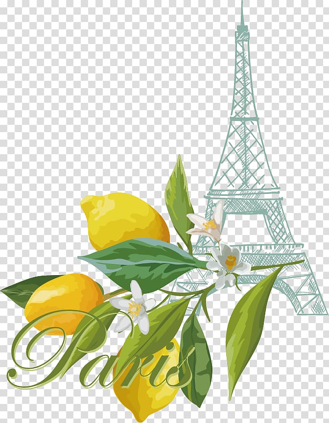 Lemon Euclidean , fresh lemon creatives transparent background PNG clipart
