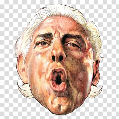 Ric Flair To Be the Man World Heavyweight Championship WWE Championship Professional Wrestler, others transparent background PNG clipart