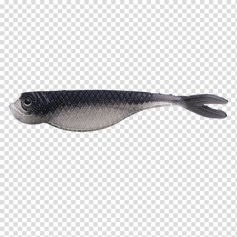 Herring Fish, Twiggy transparent background PNG clipart