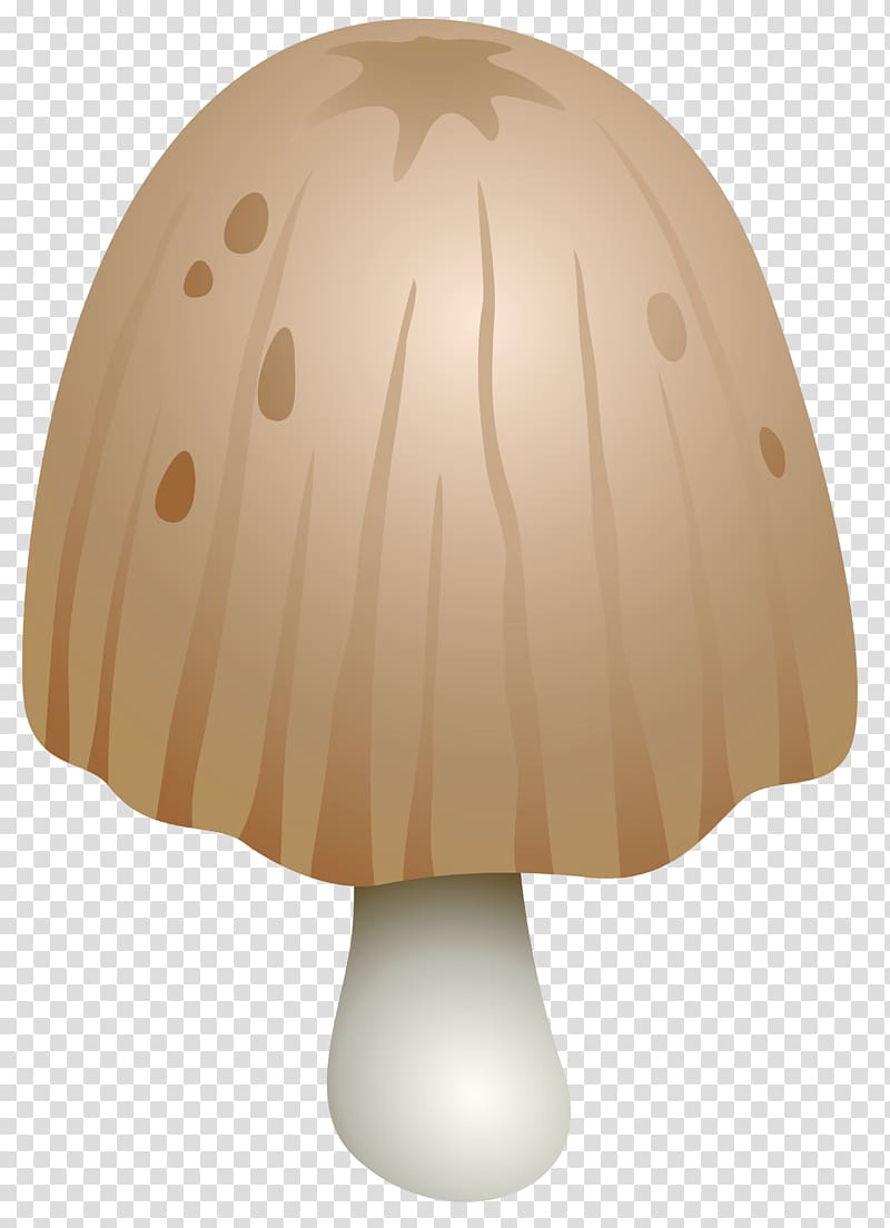 Mushroom Shaggy ink cap Fungus , mushroom transparent background PNG clipart