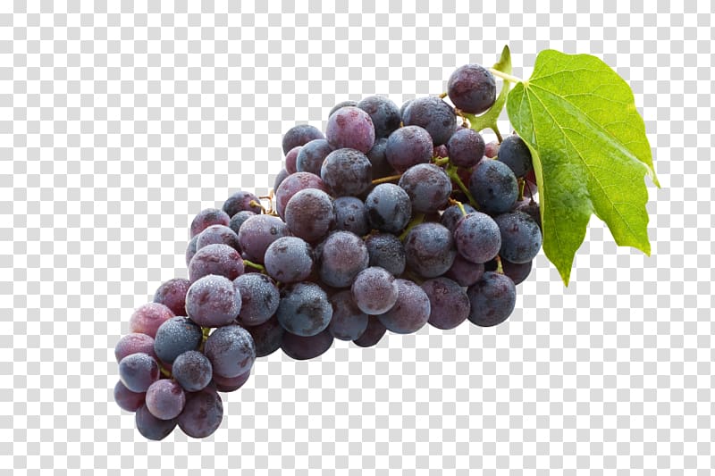 Concord grape Juice Common Grape Vine Wine Sultana, juice transparent background PNG clipart