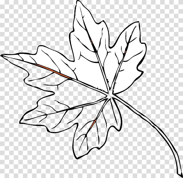 Maple leaf Yellow Autumn leaf color , Maple Leaf Canada White transparent background PNG clipart