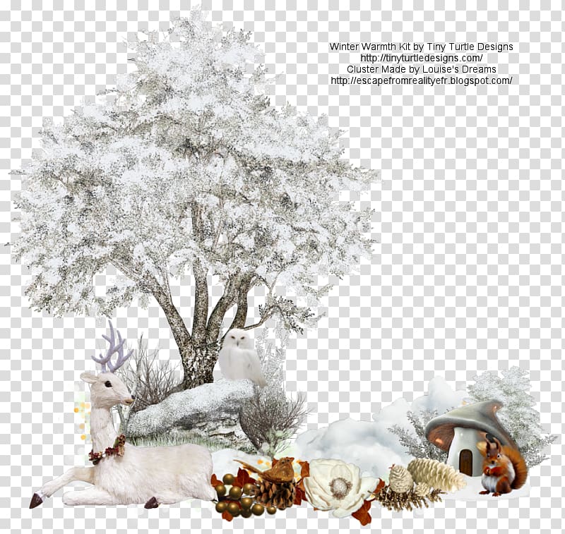 Tree Branch Snow , warmth transparent background PNG clipart