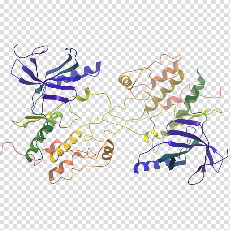 Illustration Product design WNK lysine deficient protein kinase 3, transparent background PNG clipart