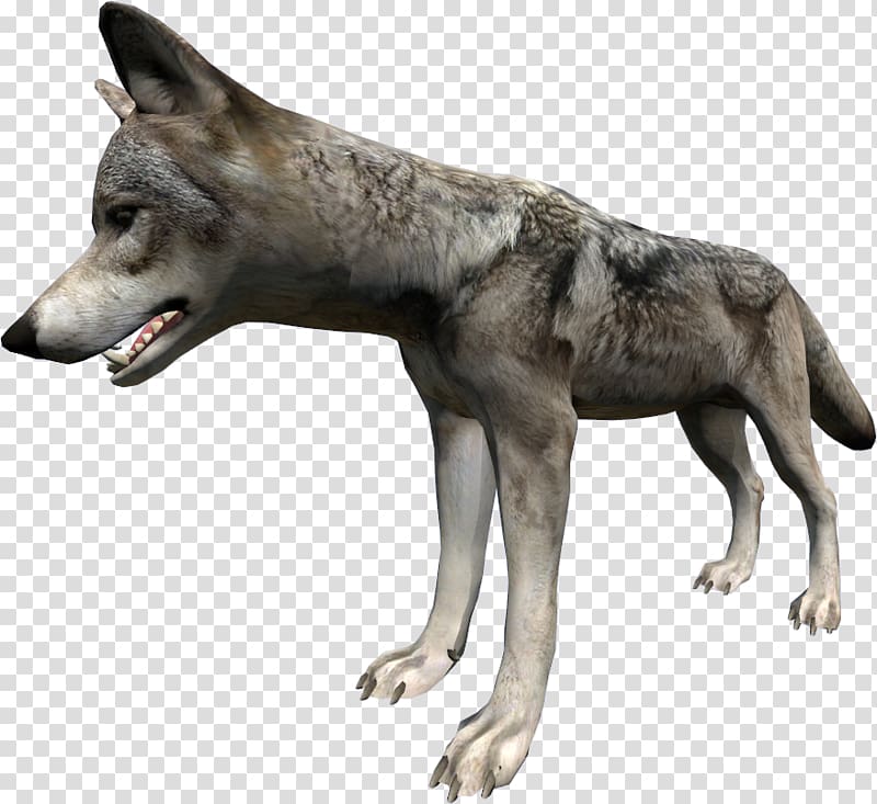 Saarloos wolfdog Czechoslovakian Wolfdog Kunming wolfdog DayZ Coyote, others transparent background PNG clipart