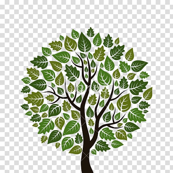 Tree Computer Icons , green tree transparent background PNG clipart