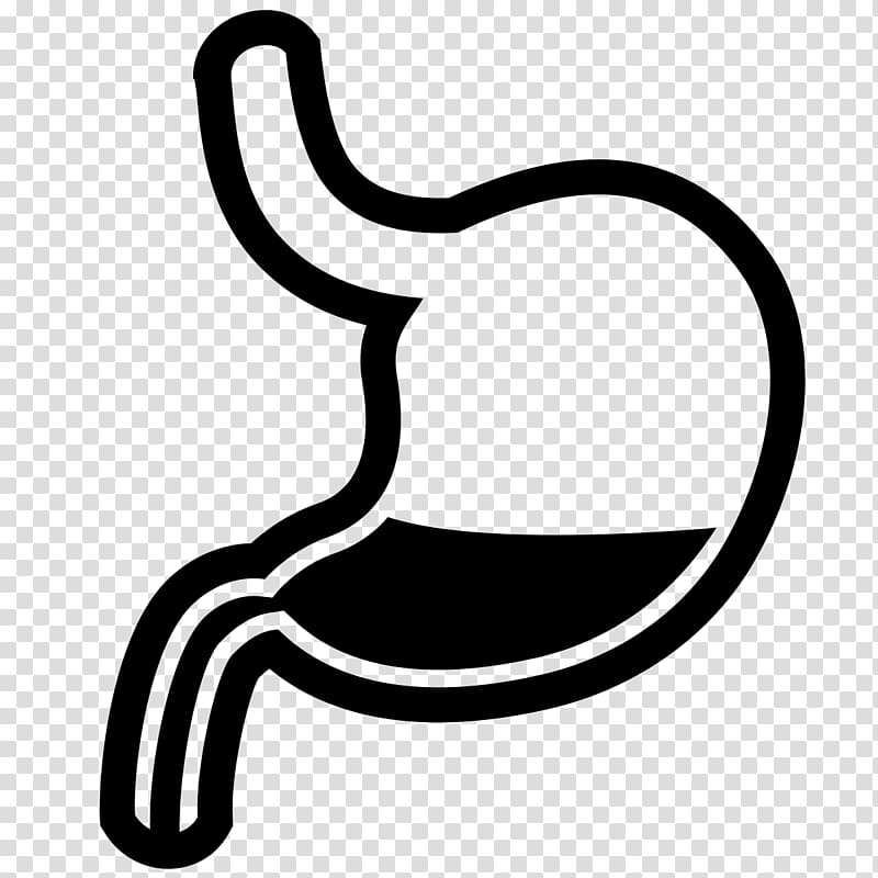 Gastrointestinal tract Digestion Computer Icons Stomach Health, charcoal transparent background PNG clipart