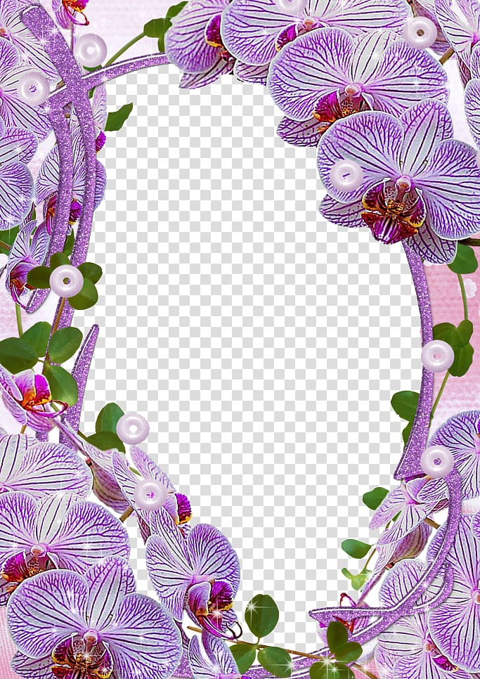 pink moth orchid frame illustration, frame , Mood Frame transparent background PNG clipart