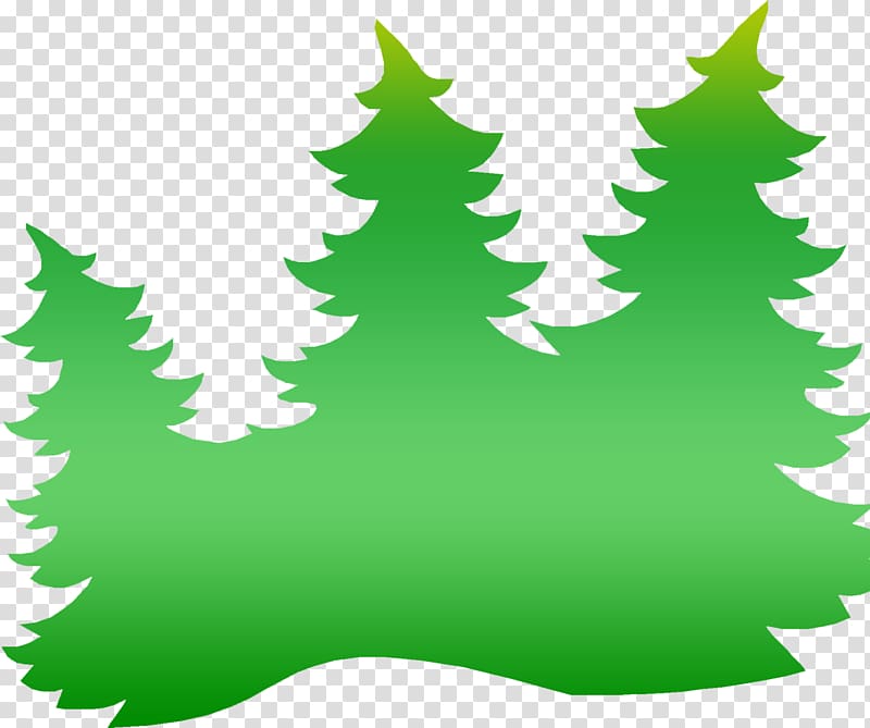 Spruce Christmas tree Fir , campfire transparent background PNG clipart