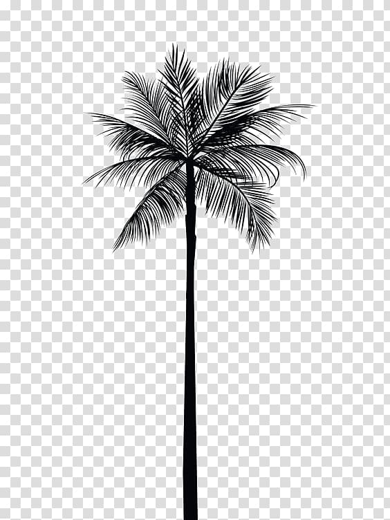 black palm tree , Arecaceae Tree Gold Palm branch Wall decal, Black coconut tree transparent background PNG clipart