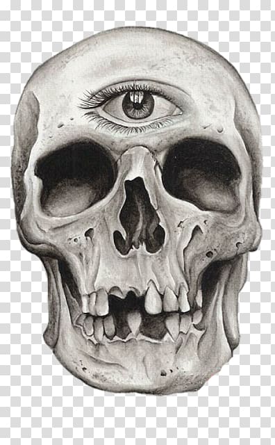 Human skull symbolism Skeleton Drawing Tattoo, Night Of The Living Dead transparent background PNG clipart