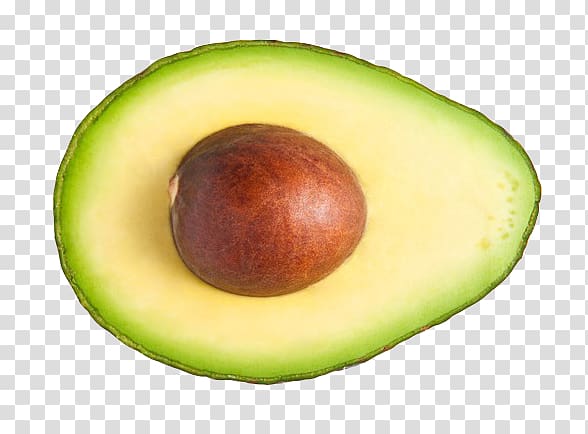avocado transparent background PNG clipart