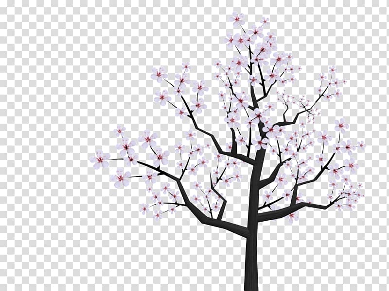 National Cherry Blossom Festival Drawing , Cherry Blossom Cartoon transparent background PNG clipart