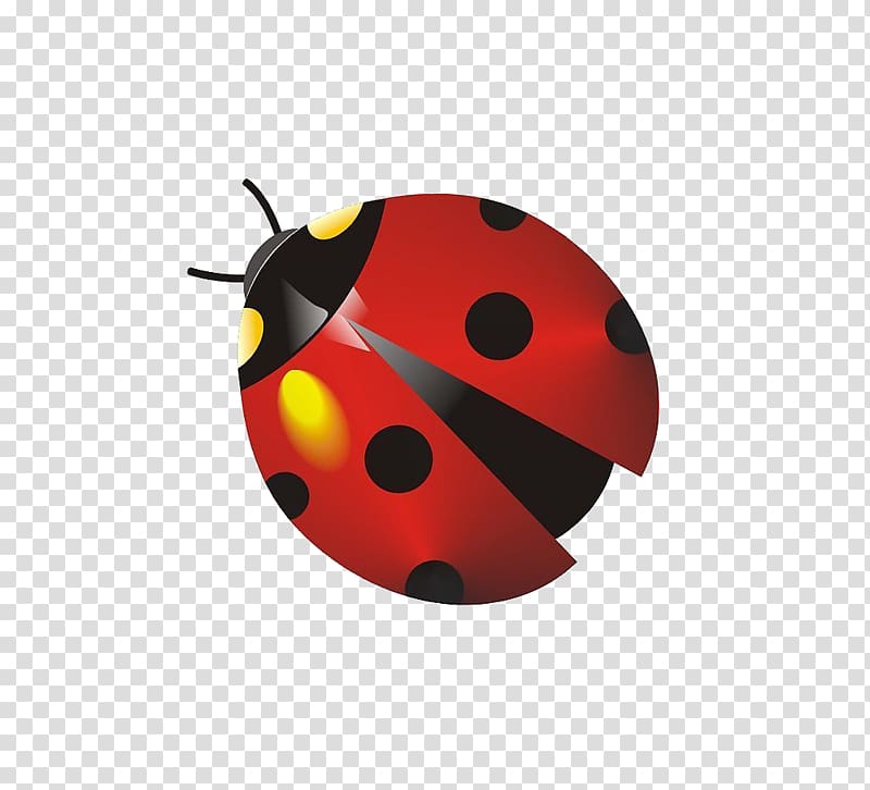 Insect Ladybird Coccinella septempunctata Cartoon, ladybug transparent background PNG clipart