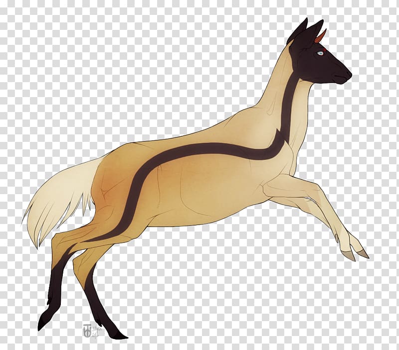 Mustang The Endless Forest Deer Dog Cat, marmalade transparent background PNG clipart