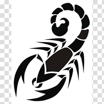 Scorpion Tattoo PNG File  PNG All