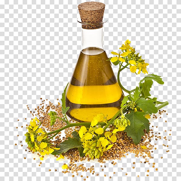 bottle of oil, Canola Cooking Oils Rapeseed Seed oil, sunflower oil transparent background PNG clipart