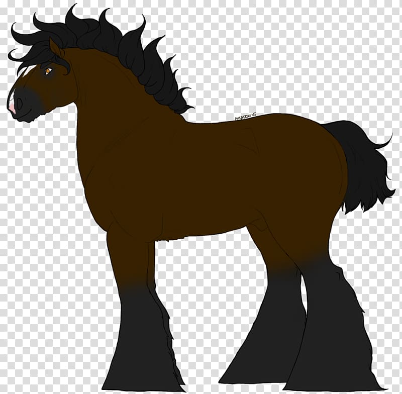 Foal Stallion Mustang Colt Mare, willow bark transparent background PNG clipart