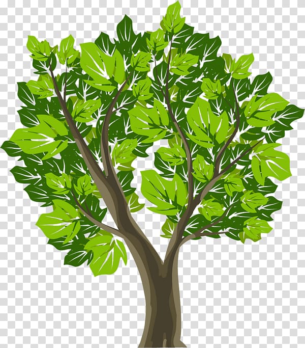 Tree Symbol Graphic design, tree transparent background PNG clipart