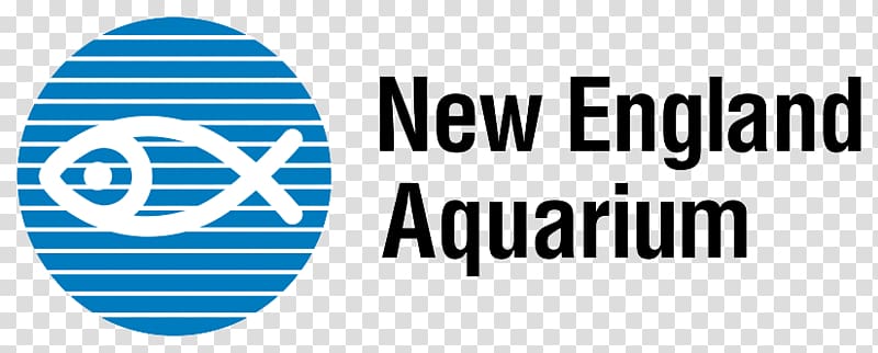 New England Aquarium Zoo Hotel Public aquarium, others transparent background PNG clipart