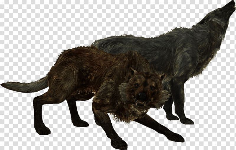 two black wolves, Elder Scrolls Skyrim Wolves transparent background PNG clipart