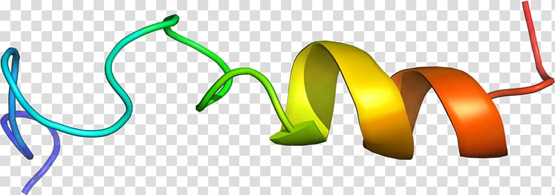 Logo , design transparent background PNG clipart