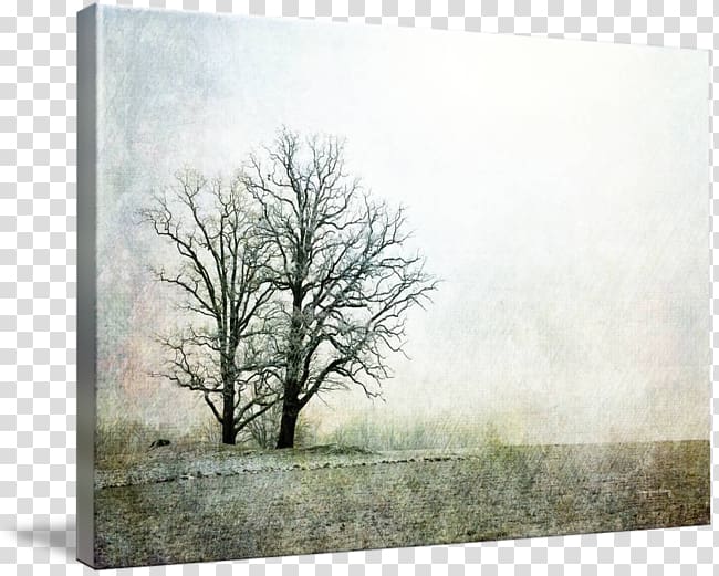 Painting Frames Winter Sky plc Branching, painting transparent background PNG clipart
